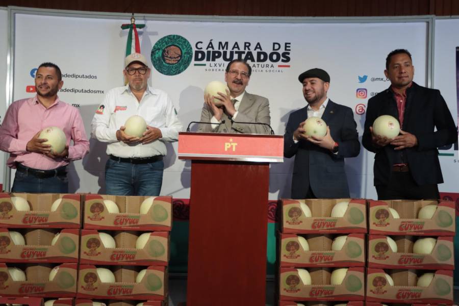 Melón chino dejaría de exportarse a EU por aranceles; “sería insostenible”, dicen productores de Zicuirán