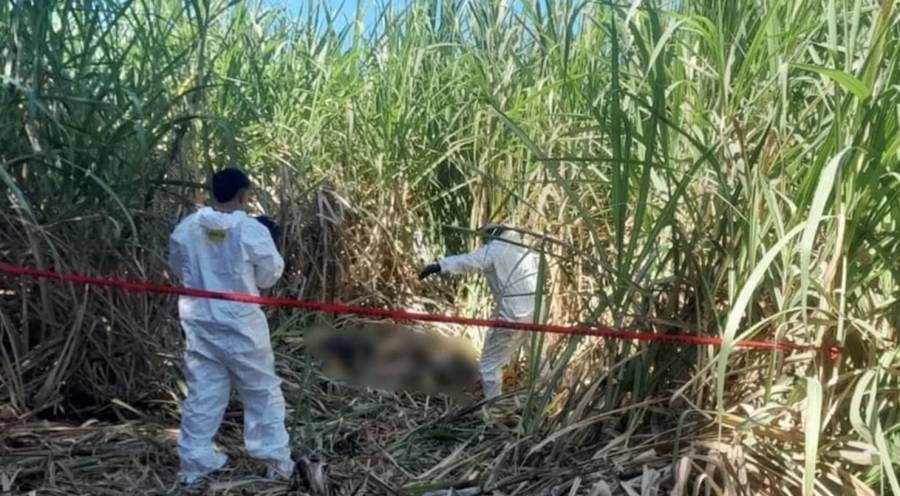 Hallan cuatro cuerpos cercenados cerca de carretera en Chiapas