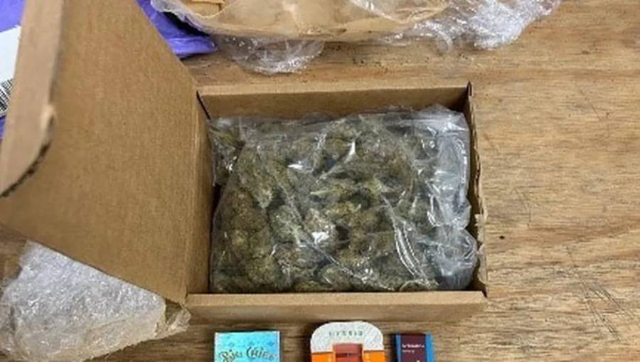 Cateo en Álvaro Obregón: aseguran drogas, cartuchos y básculas