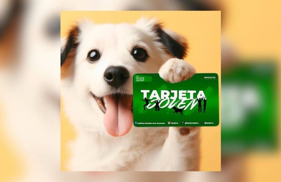 Gobierno del Estado amplía beneficios para jóvenes y sus mascotas