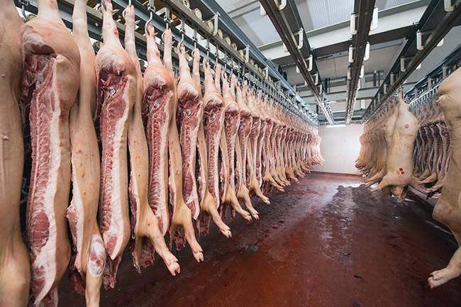 El 70% de la carne en Puebla proviene de rastros clandestinos