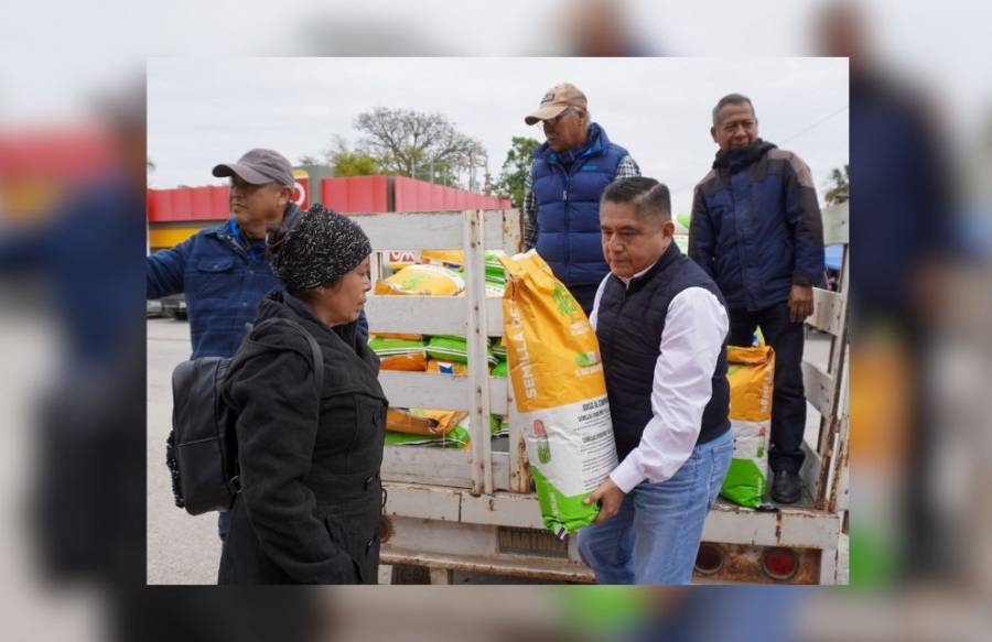 Gobierno Estatal distribuye semillas de maíz para fortalecer la agricultura en la Huasteca