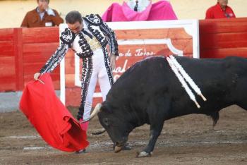 Congreso capitalino admite iniciativa para prohibir espect&aacute;culos taurinos
