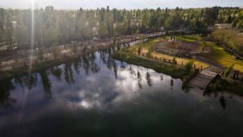 Humedales de la Ciudad de M&eacute;xico: Fuentes de Agua y Refugios de Biodiversidad