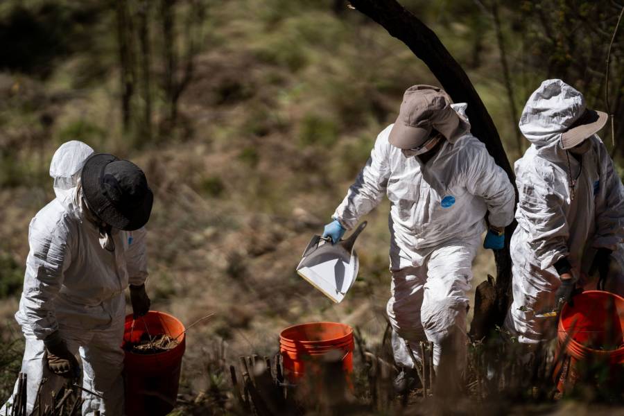 Refuerzan vigilancia en el Ajusco tras hallazgo de restos humanos