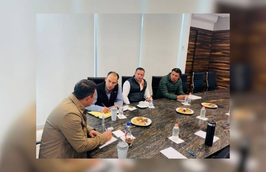 Avanza el programa 