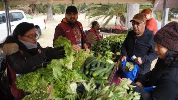SEDEMA realizar&aacute; Mercado de Trueque en el Bosque de Tlalpan