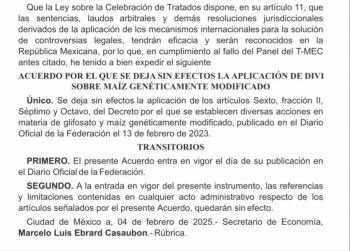 Tras perder panel sobre ma&iacute;z transg&eacute;nico, se modificar&aacute; Constituci&oacute;n, dice Sheinbaum
