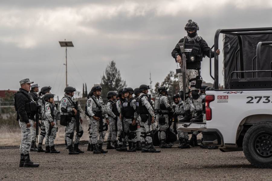 Operación frontera norte : 139 detenidos y aseguramiento de más de 500 kg de drogas en tres días