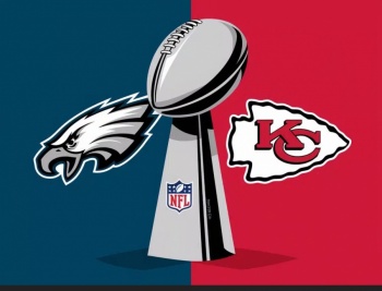 Manual de Super Bowl para novatos