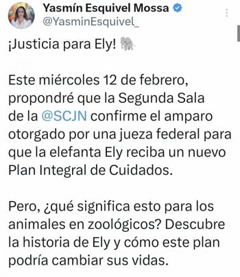 Queda en lista de la Segunda Sala, proyecto de ministra Esquivel Mossa para ayudar a elefanta Ely
