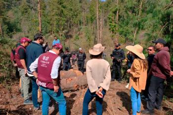 Contin&uacute;an acciones en defensa del Bosque de Agua; aseguran 96 metros c&uacute;bicos de madera