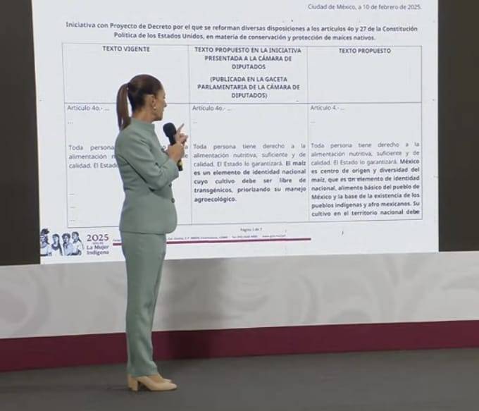 Sheinbaum da a conocer c&oacute;mo qued&oacute; la propuesta de reforma para proteger ma&iacute;z nativo