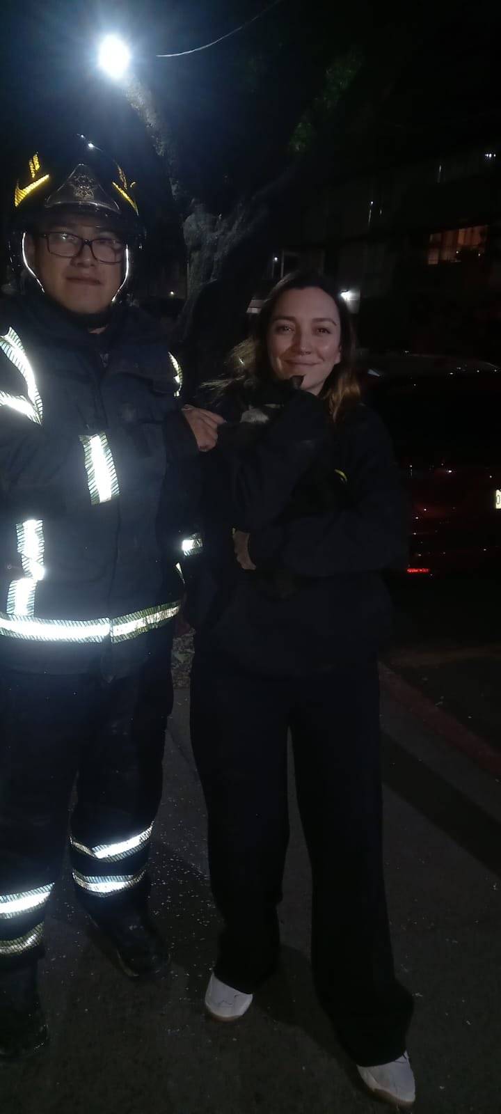 Bomberos rescatan a gato en la Condesa y la dueña resulta ser Regina Blandón