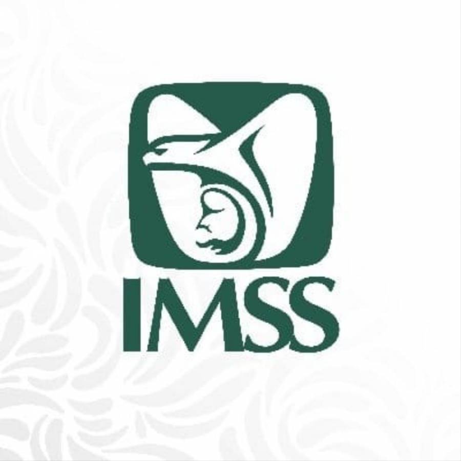 Zoe Robledo pide denunciar a quienes no les dan el aseguramiento en el IMSS en su trabajo; “no es una dádiva”