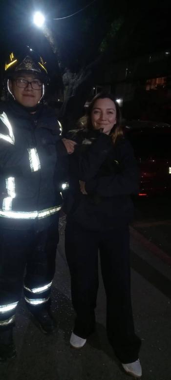 Bomberos rescatan a gato en la Condesa y la dueña resulta ser Regina Blandón