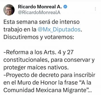 Intensa Semana de Trabajo en la C&aacute;mara de Diputados: Monreal