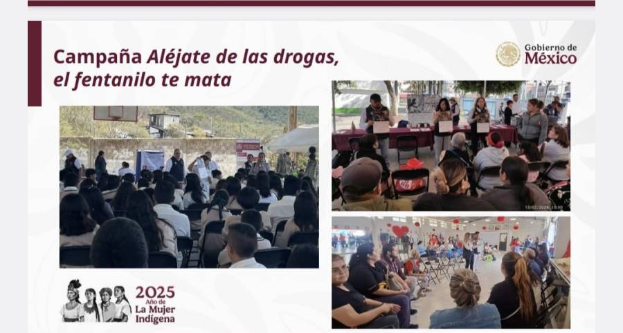 Atenci&oacute;n a las causas de la violencia, prioridad del Gobierno de M&eacute;xico: Rosa Icela Rodr&iacute;guez