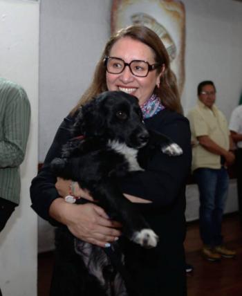 Perrito rescatado se convierte en la nueva mascota del Palacio Municipal de Ecatepe