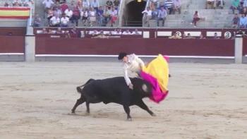 Triunfo legal para los derechos animales: Prohibidos instrumentos que lastimen a los toros en Plaza M&eacute;xico