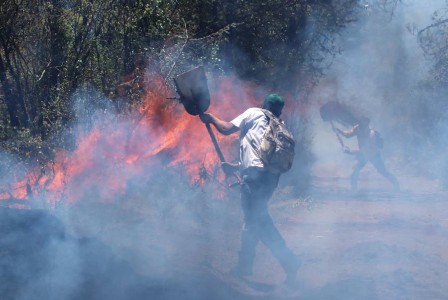 Aumentan a 39 los incendios forestales activos en 14 estados de M&eacute;xico