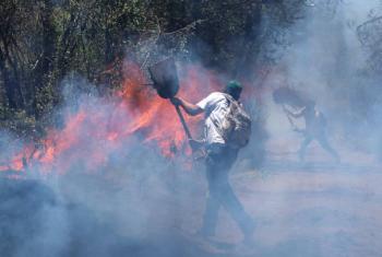 Aumentan a 39 los incendios forestales activos en 14 estados de M&eacute;xico