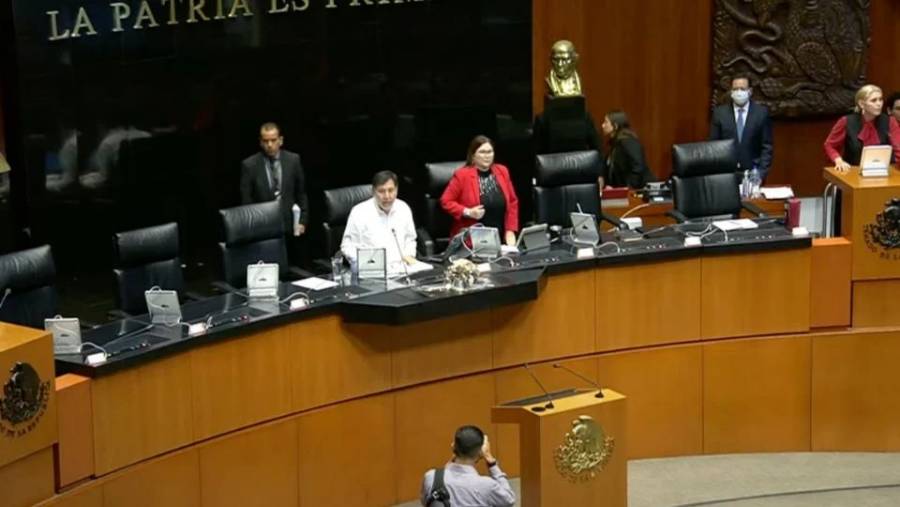 Senado aprueba elevar a rango constitucional el apoyo a jóvenes desempleados