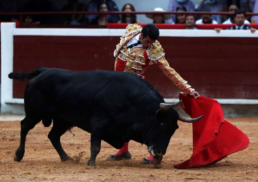 Claudia Sheinbaum plantea corridas de toros sin sangre como alternativa cultural