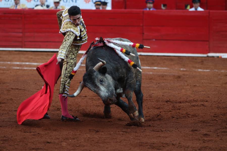 Empresarios taurinos rechazan propuesta de corridas de toros en la CDMX 