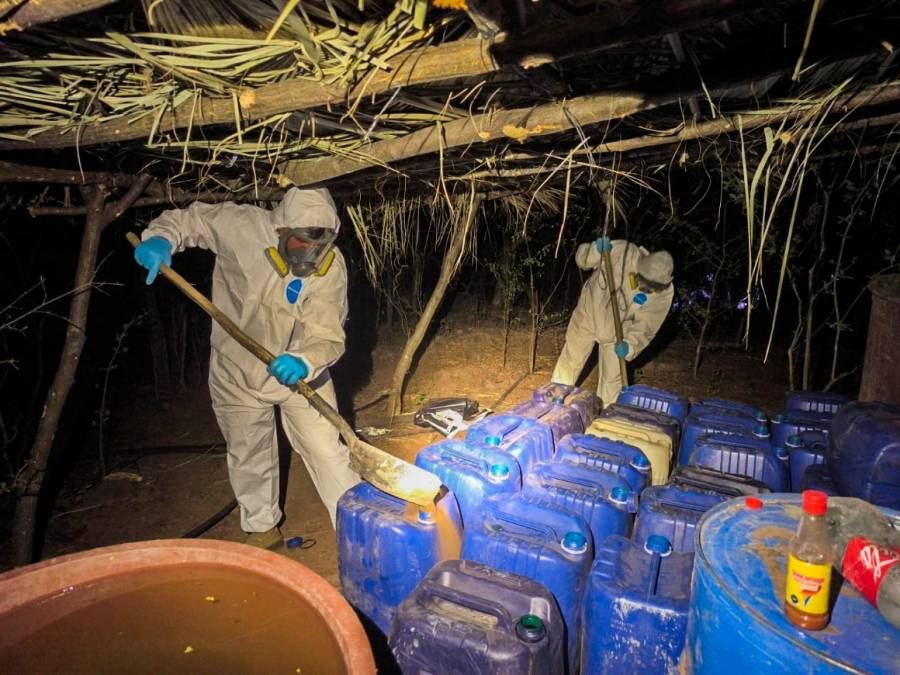 Aseguran 12 narcolaboratorios en Sinaloa vinculados al cártel de Sinaloa