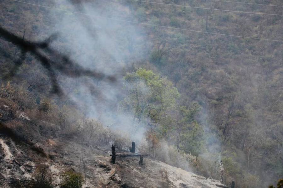 Tragedia en Nuevo León: Camioneta cae a un barranco en Santiago y deja 12 muertos