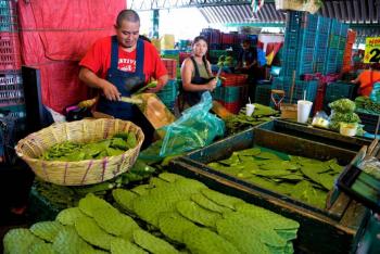 Los mercados de México son símbolo de nuestra identidad y tradiciones: Sectur