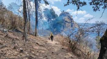 Gobierno de la CDMX env&iacute;a brigadistas para combatir incendio en El Tepozteco