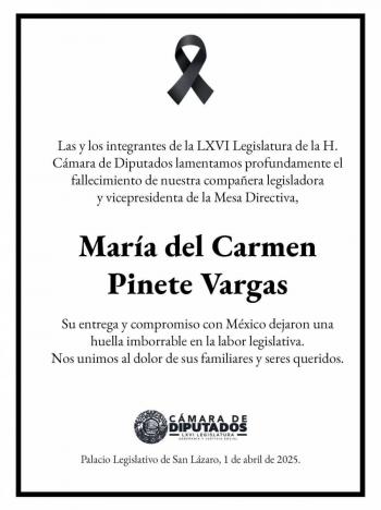 Fallece la diputada del PVEM, Mar&iacute;a del Carmen Pinete Vargas