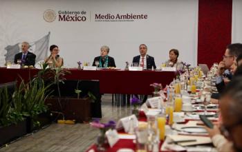 Urge restauraci&oacute;n ambiental en la zona afectada por el Tren Maya: Semarnat