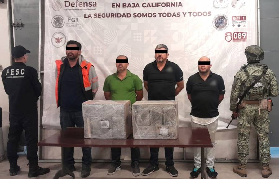 Desmantelan redes del crimen organizado en la frontera: resultados de la Operación Frontera Norte