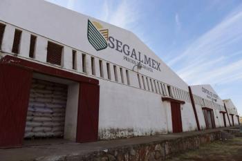 FGR dar&aacute; reporte sobre investigaci&oacute;n del caso Segalmex, afirma Sheinbaum