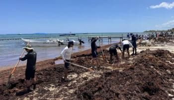 Recolectan más de 150 toneladas de sargazo en Othón P. Blanco, Quintana Roo