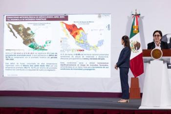 México enfrenta 114 incendios forestales en medio de sequía, informa Protección Civil