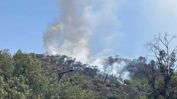 Incendio en el Cerro del Tepeyac provoca densa columna de humo visible desde la Bas&iacute;lica de Guadalupe