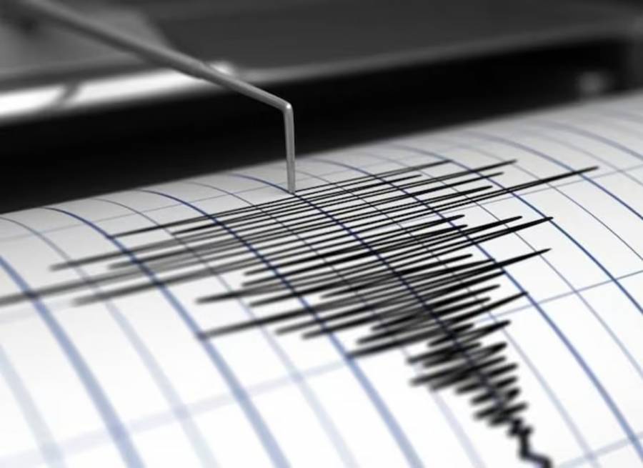 Temblor matutino sacude Guerrero con epicentro en Coyuca de Benítez