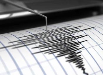 Temblor matutino sacude Guerrero con epicentro en Coyuca de Ben&iacute;tez
