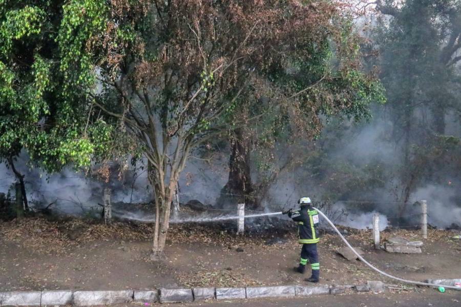 Incendio forestal en la Sierra de los Agustinos consume 569 hectáreas en Guanajuato