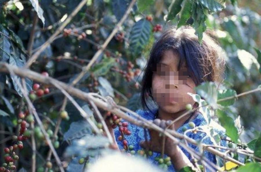 México, con grandes pendientes con sus infantes; inasistencia escolar y trabajo infantil, graves testimonios: Rauder