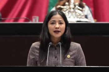Presentan iniciativa que prohíbe uso de imágenes de infantes en propaganda política