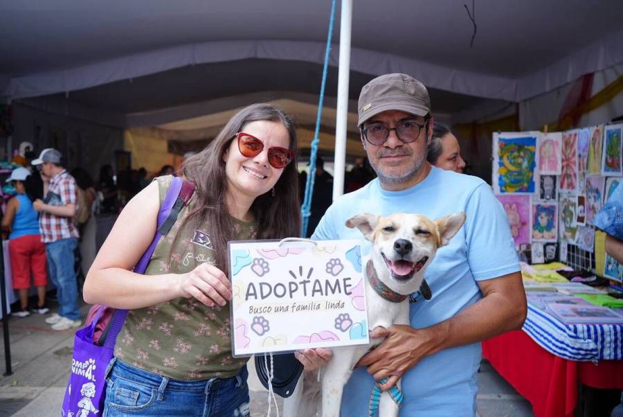 Segundo Adoptatón de perros y gatos, un éxito rotundo en el Bosque de Chapultepec