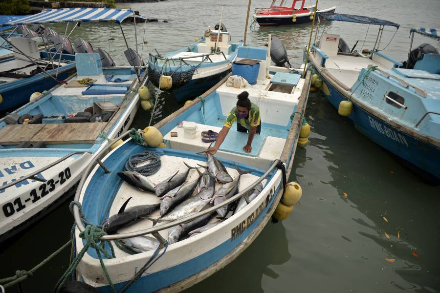 Cinco pescadores rescatados tras 56 d&iacute;as a la deriva llegan a Gal&aacute;pagos