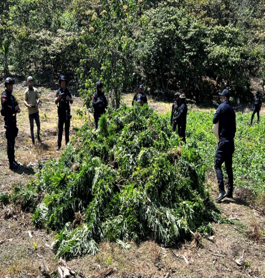 Fuerzas federales asestan golpes al crimen organizado con decomisos de droga, armas y detenciones en 13 estados de México