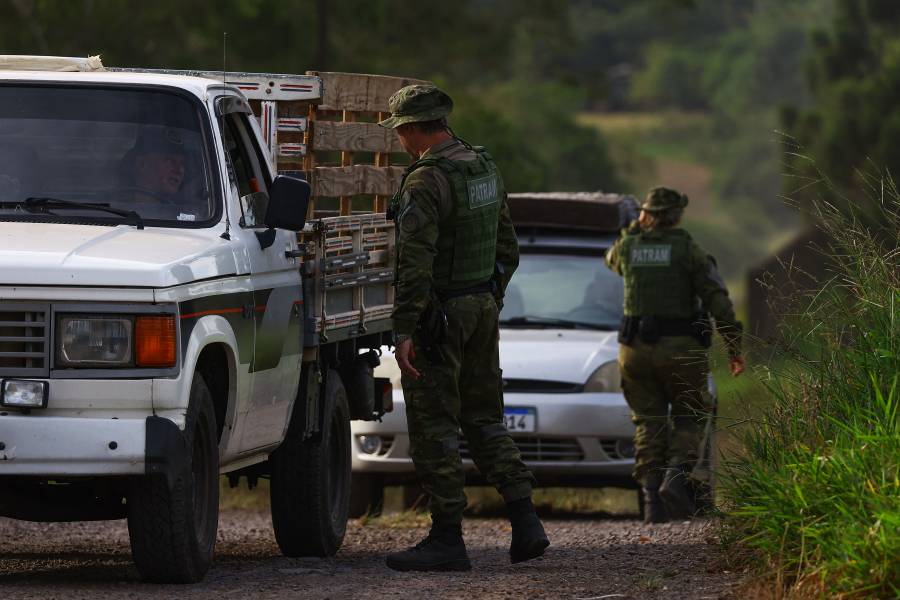 Gripe aviar: México también suspende importaciones de pollo brasileño
