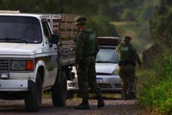 Gripe aviar: México también suspende importaciones de pollo brasileño